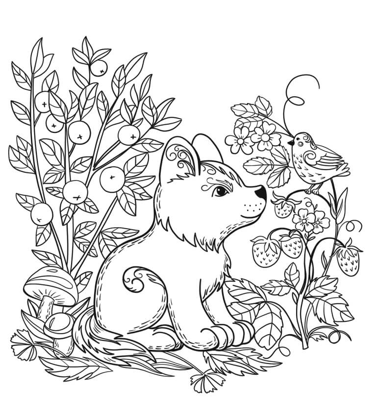 Un Perrito