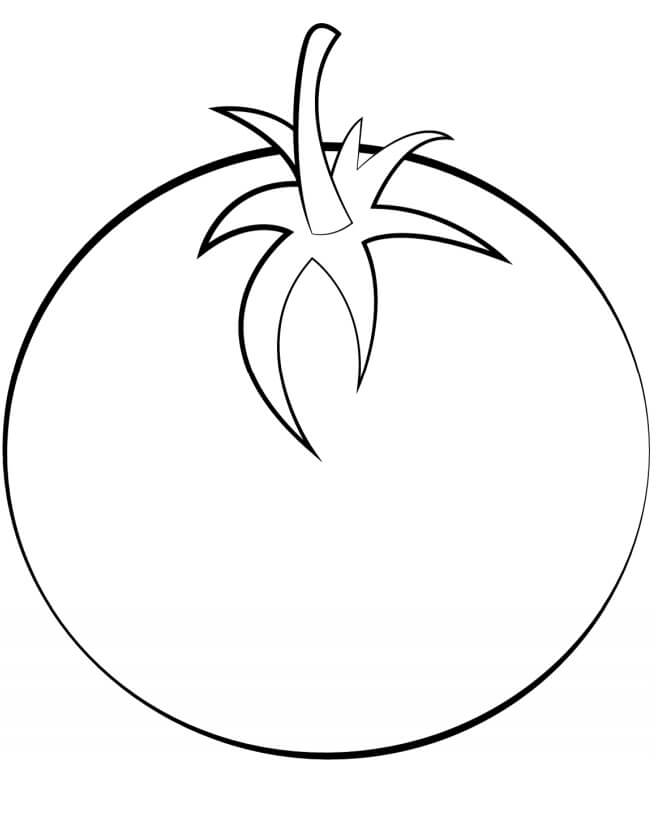 Un Tomate