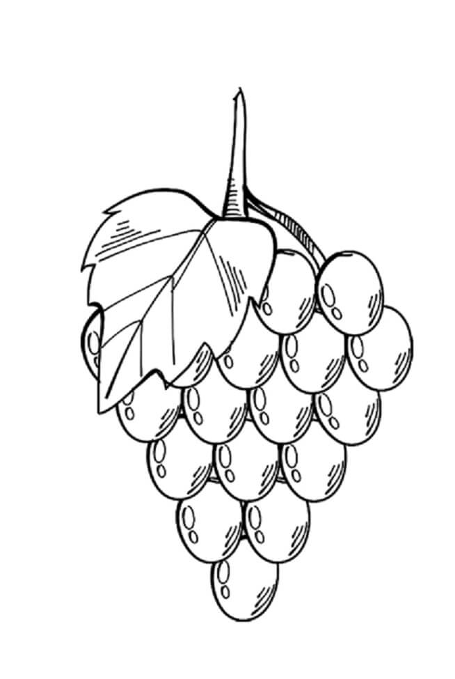 Uvas Gratis