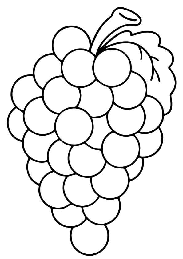 Uvas Impressionantes