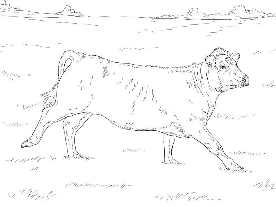 Vaca Corriendo