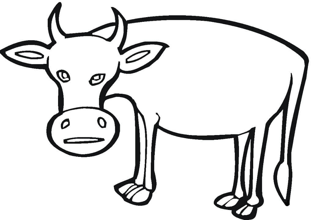 Vaca Divertida