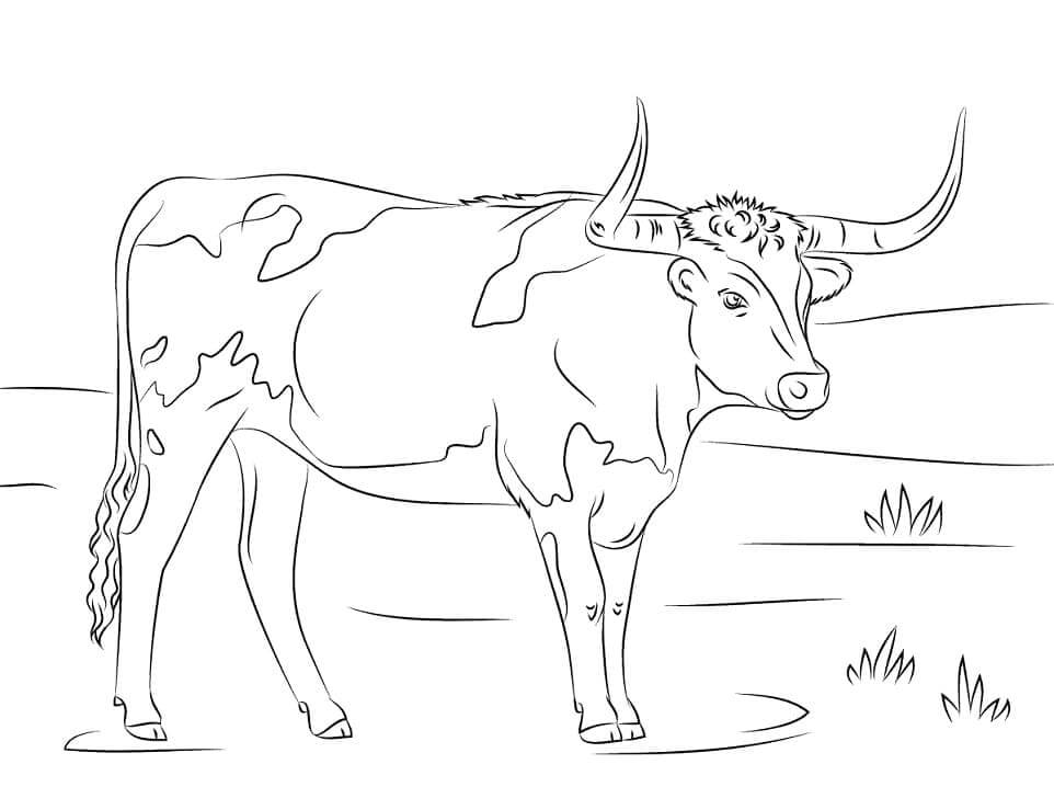Vaca de Cuernos Largos