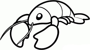 Vector de Langosta