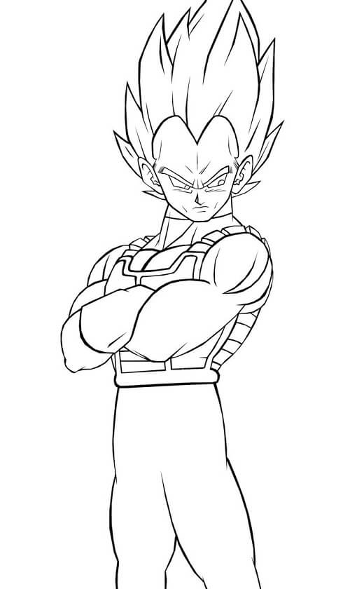 Vegeta Arrogante