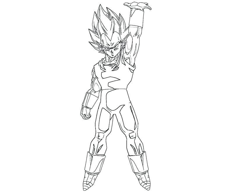Vegeta Energía