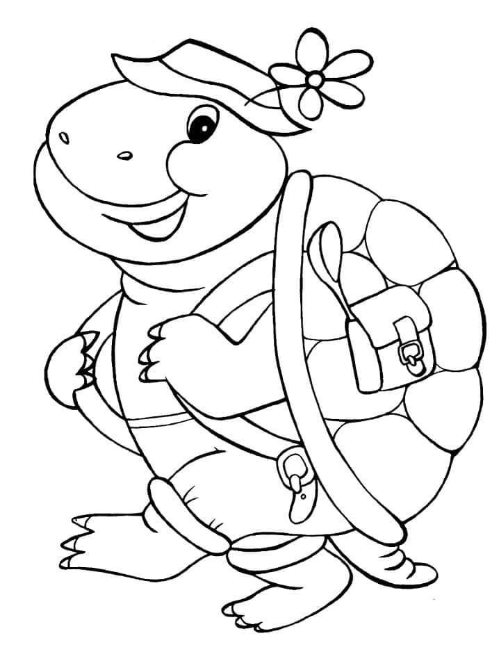 Viajero Tortuga