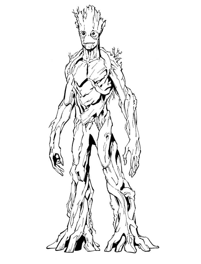 Viejo Groot