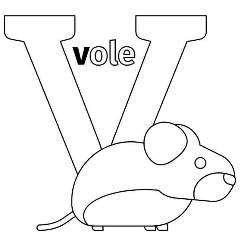 Vole Letra V