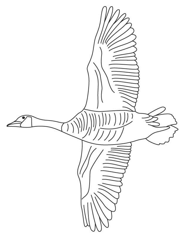 Vuelo de Ganso