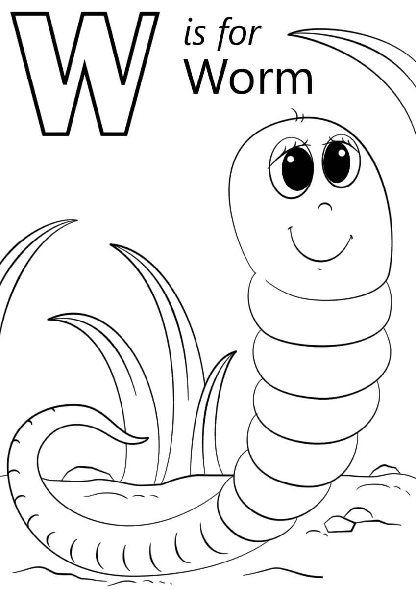 W es para Gusano