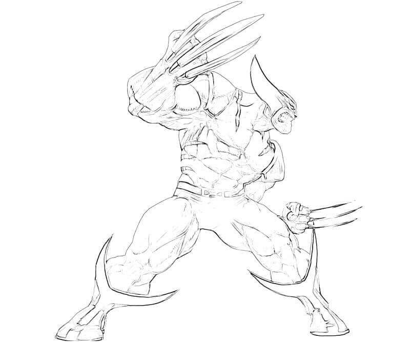 Wolverine Impresionante