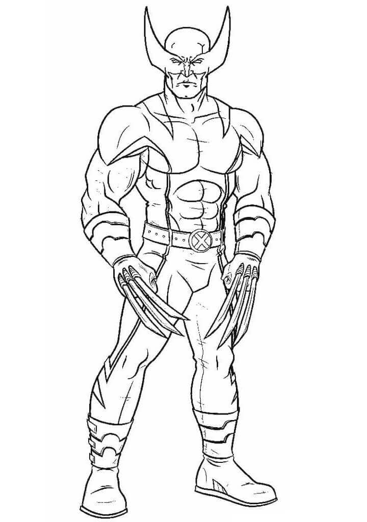 Wolverine de Pie