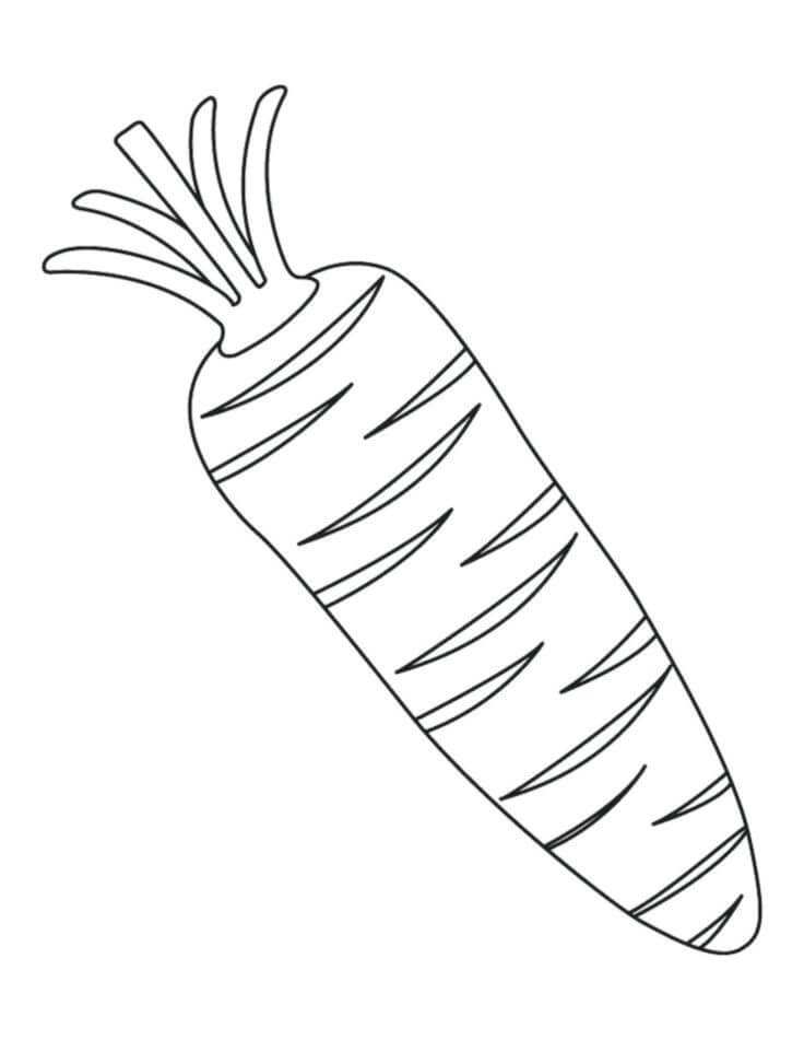 Zanahoria Simple
