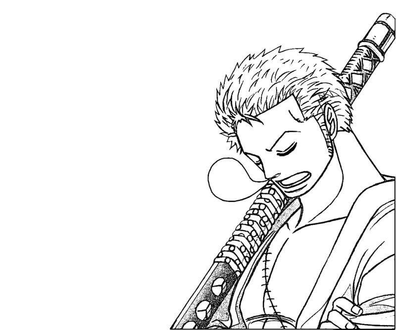 Zoro Durmiendo