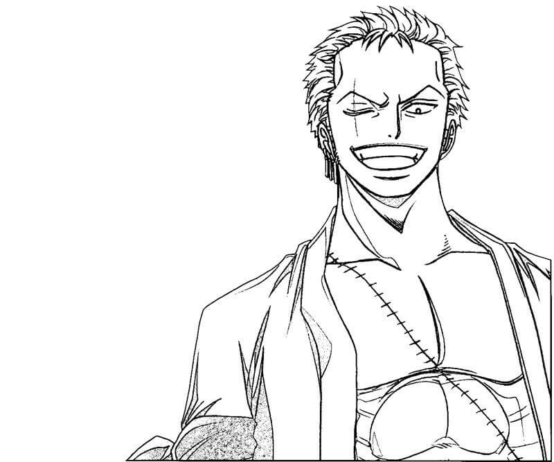 Zoro divertido