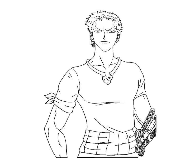 Zoro estúpido