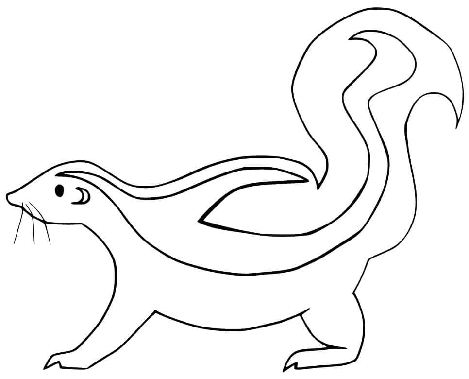 Zorrillo
