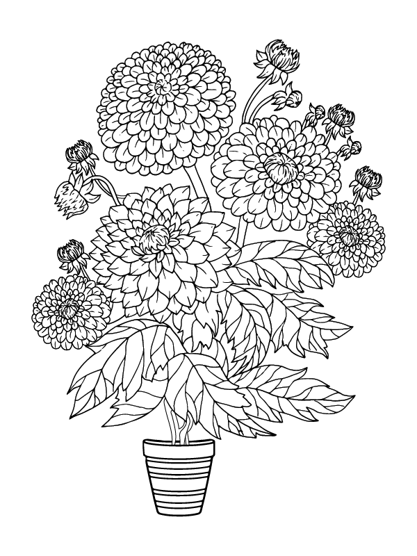 Página para Colorear de Flor para Adultos