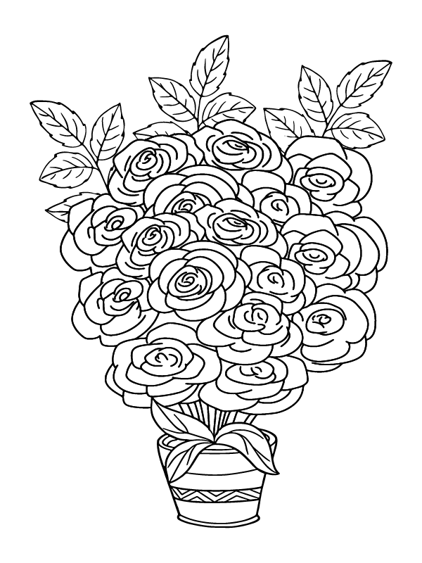 Página para Colorear de Rosas para Adultos