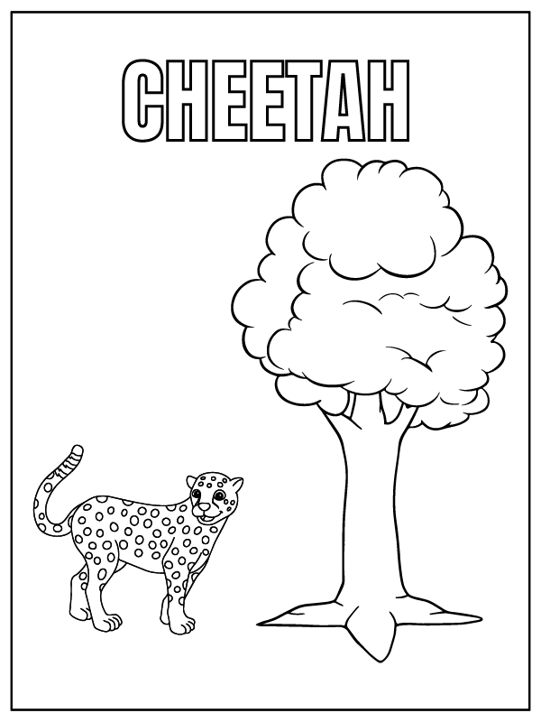 Guepardo Animal y Árbol de Safari Rinoceronte Lindo Animal de Safari Jirafa Animal de Safari Gorila Animal de Safari Hiena Animal de Safari Cebra Animal de Safari León Animal de Safari Búfalo del Cabo Animal de Safari Ñu Animal de Safari Mono Vervet Animal de Safari Rinoceronte Animal de Safari Elefante Lindo Animal de Safari Buitre Animal de Safari Hyrax Animal de Safari Eland Animal de Safari Impala Animal de Safari