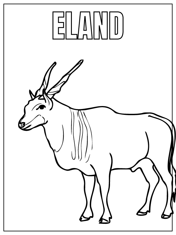 Eland Animal de Safari
