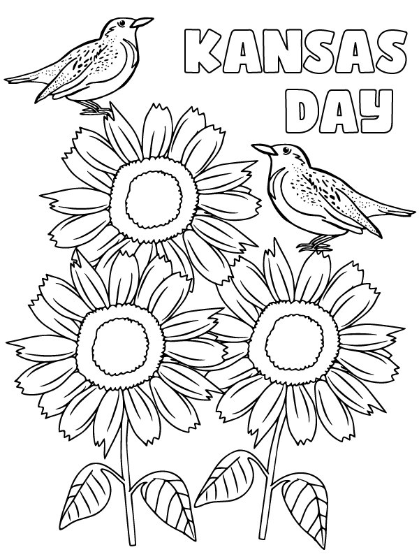 Imagen Divertida para Colorear del Día de Kansas