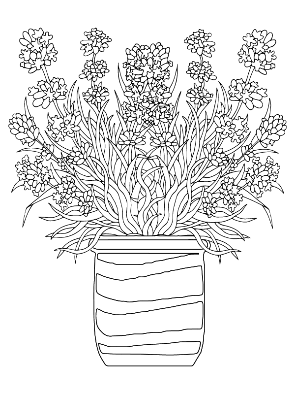 Página para Colorear de Flor Imprimible