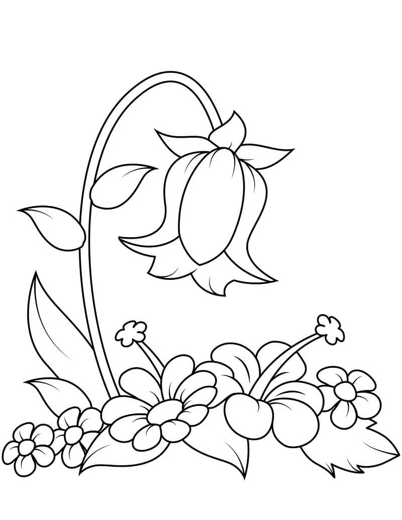 Fleur