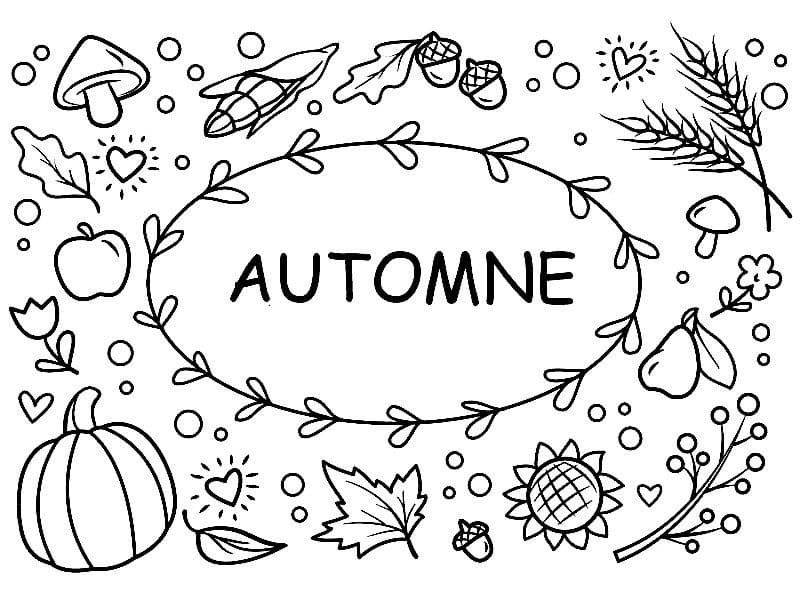 Automne (2)