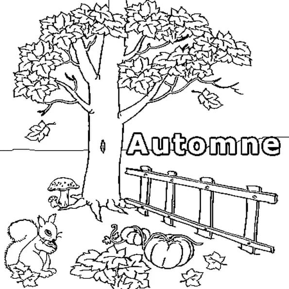 Automne (4)