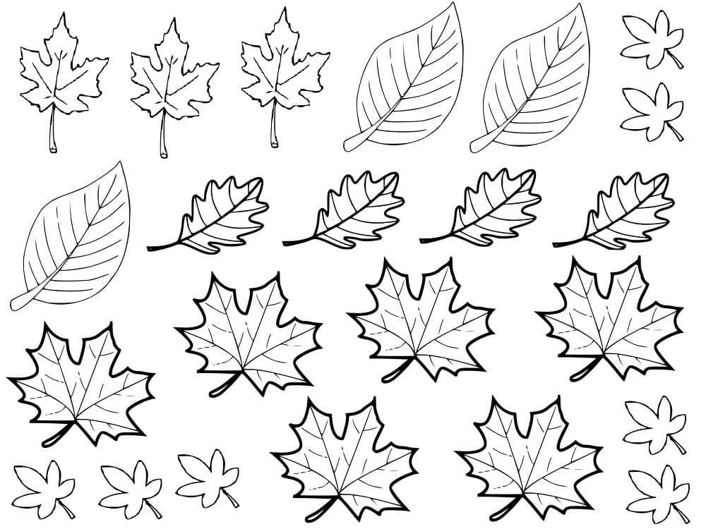 Feuilles d'automne