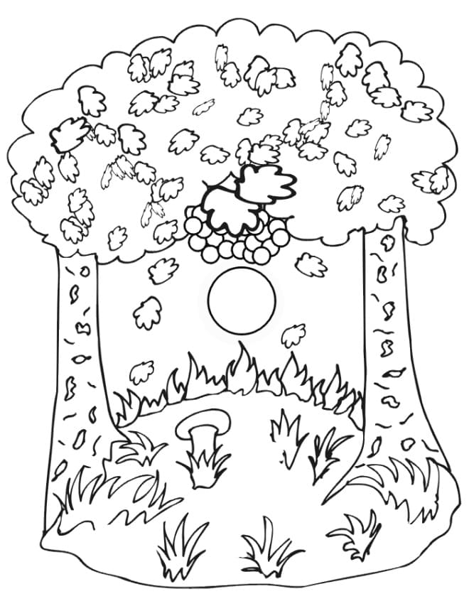 scène d'automne 4