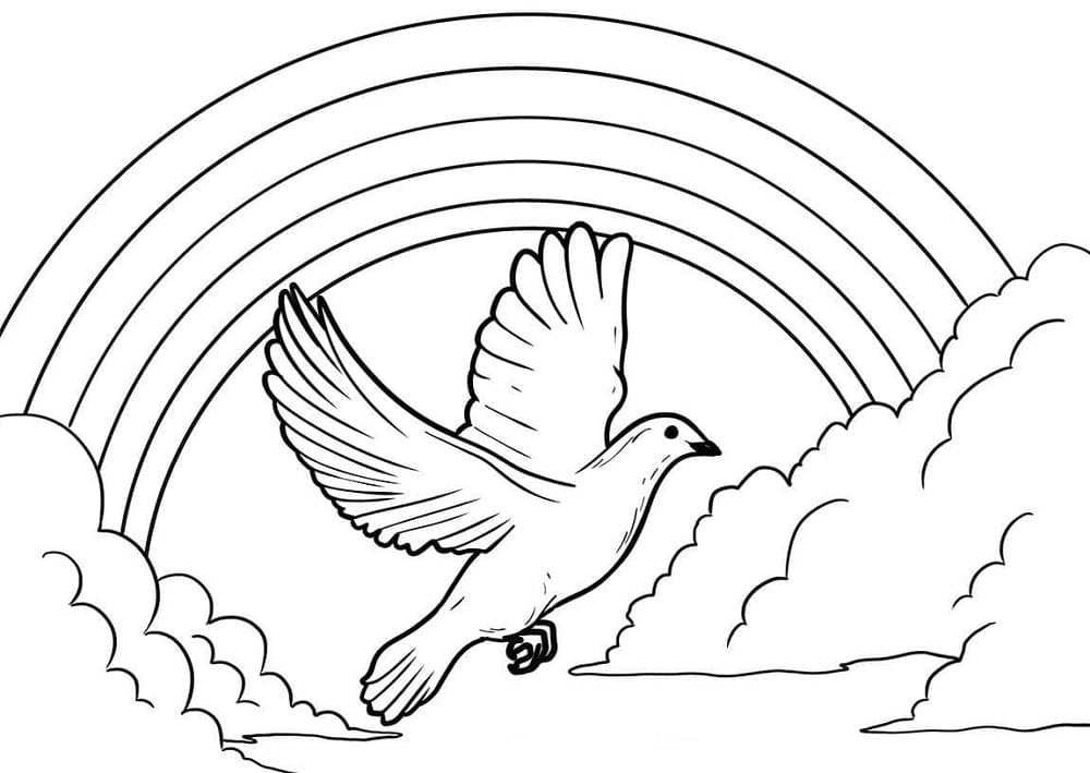 Colombe et Arc-en-ciel
