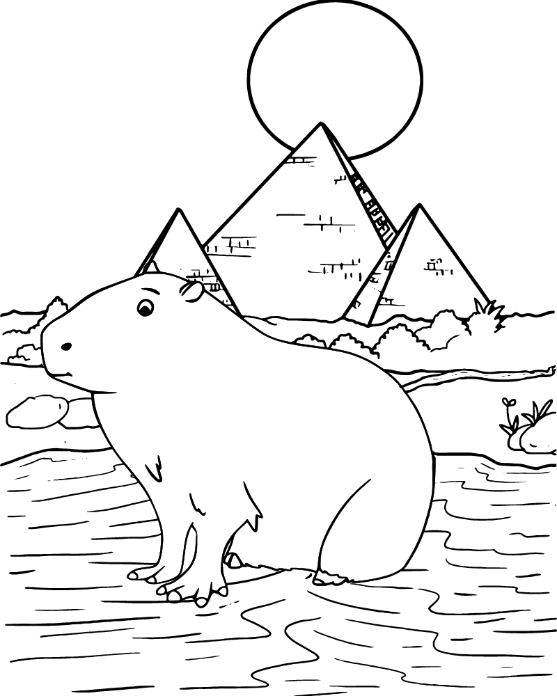 Feuille de Coloration de Capybara Animal