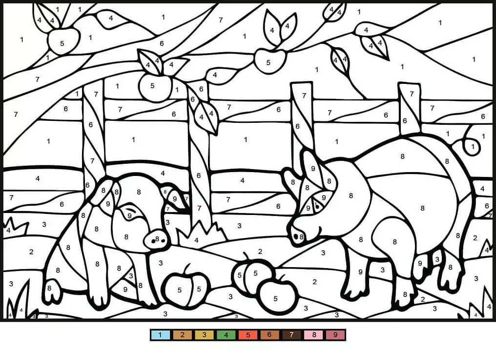 Color by Number
